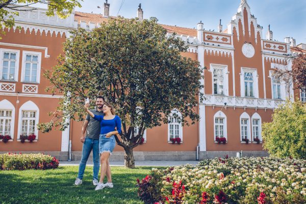 Поглед на виногорје и Вршац