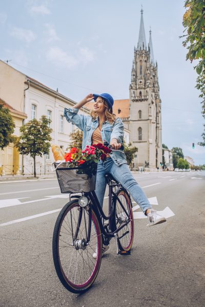 Панорама Вршца