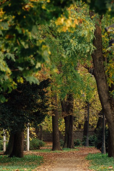 Вински амбијент Вршца