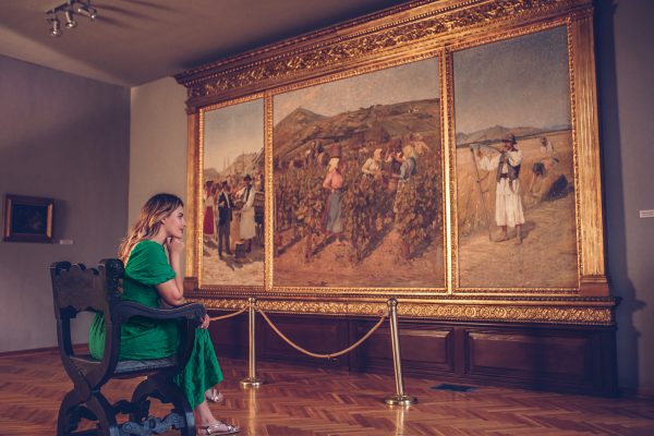 Поглед на Вршачку кулу и град