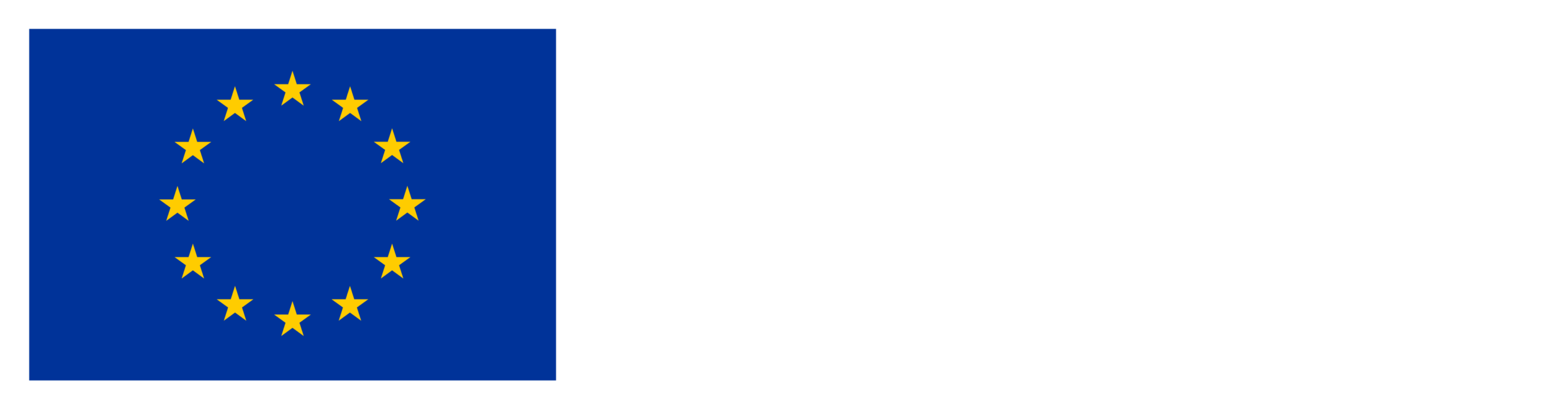 Co-funded by the European Union